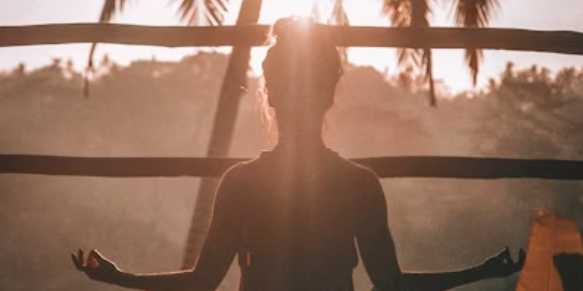 Online Yoga Adults Batch